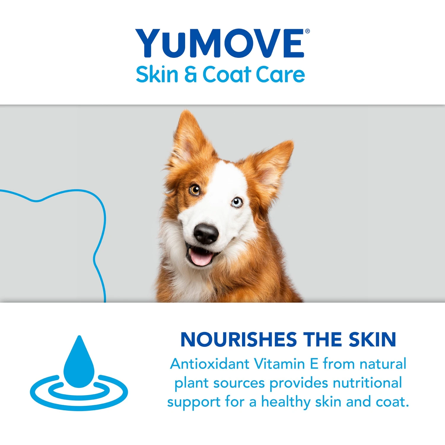 YuMOVE Skin & Coat Care Moulting For Adult Dogs | 500ml 8 YuMOVE Skin & Coat Care Moulting For Adult Dogs | 500ml - Image 8