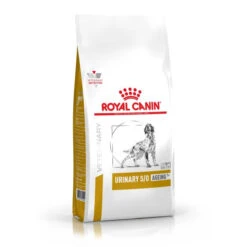 Royal Canin Veterinary Health Nutrition Canine Urinary S/O Age 7+- Various Sizes -Pet Supply Store wgsz0kmmqbv