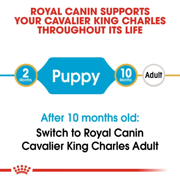 Royal Canin Dry Dog Food Specifically For Puppy Cavalier King Charles 1.5kg 9 Royal Canin Dry Dog Food Specifically For Puppy Cavalier King Charles 1.5kg - Image 9