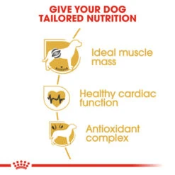 Royal Canin Dry Dog Food Specifically For Adult Boxer - All Sizes 13 Royal Canin Dry Dog Food Specifically For Adult Boxer - All Sizes -Pet Supply Store wxkqfqivmpa
