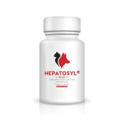 Hepatosyl Plus Capsules For Cats & Dogs -Pet Supply Store x0tz2cu5ps1 960a5594 cc8f 42cb a5f3 769a950d77b9