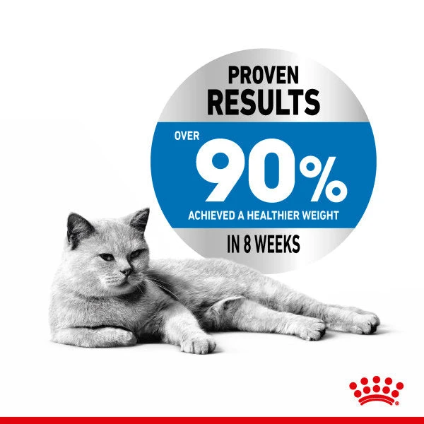 Royal Canin Light Weight Care In Gravy Adult Wet Cat Food For Cats 48 X 85g 2 Royal Canin Light Weight Care In Gravy Adult Wet Cat Food For Cats 48 X 85g - Image 2