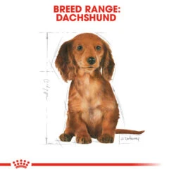 Royal Canin Dry Dog Food Specifically For Puppy Dachshund 1.5kg -Pet Supply Store xc5djunyun0