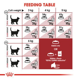 Royal Canin Regular Fit 32 Adult Dry Cat Food For Cats 4 Royal Canin Regular Fit 32 Adult Dry Cat Food For Cats - Image 4