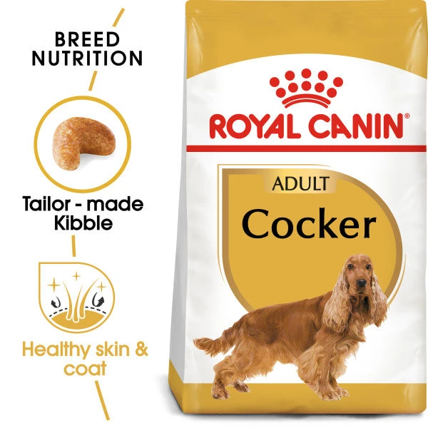 Royal Canin Dry Dog Food Specifically For Adult Cocker - All Sizes 2 Royal Canin Dry Dog Food Specifically For Adult Cocker - All Sizes - Image 2