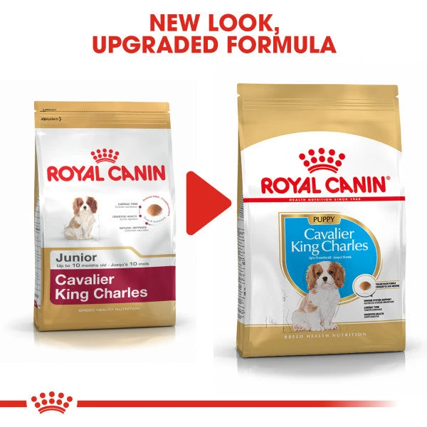 Royal Canin Dry Dog Food Specifically For Puppy Cavalier King Charles 1.5kg 3 Royal Canin Dry Dog Food Specifically For Puppy Cavalier King Charles 1.5kg - Image 3