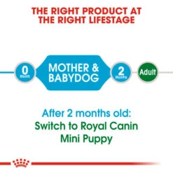 Royal Canin Dry Dog Food For Mini Starter Mother & Babydog - All Sizes -Pet Supply Store xvk1g53p1ml