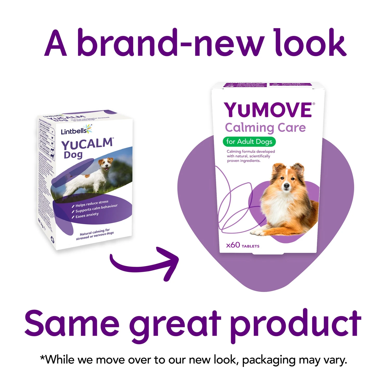 YuMOVE Calming Care For Adult Dogs- Various Sizes 5 YuMOVE Calming Care For Adult Dogs- Various Sizes - Image 5