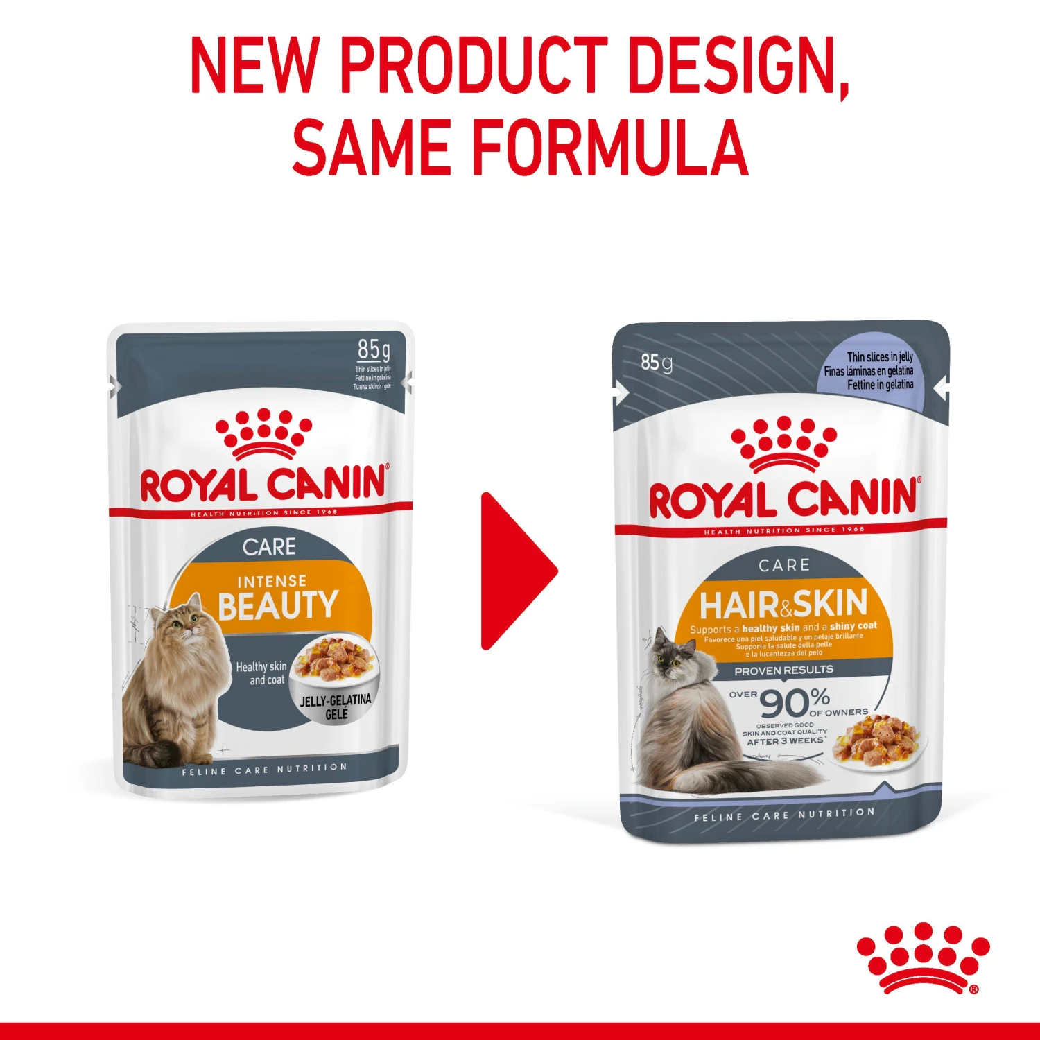 Royal Canin Hair & Skin Care In Jelly Adult Wet Cat Food 12 X 85g 11 Royal Canin Hair & Skin Care In Jelly Adult Wet Cat Food 12 X 85g - Image 11