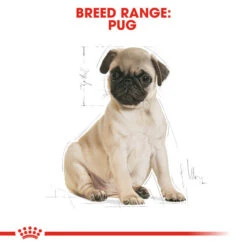 Royal Canin Dry Dog Food Specifically For Puppy Pug 1.5kg -Pet Supply Store ybn3zsomgx4