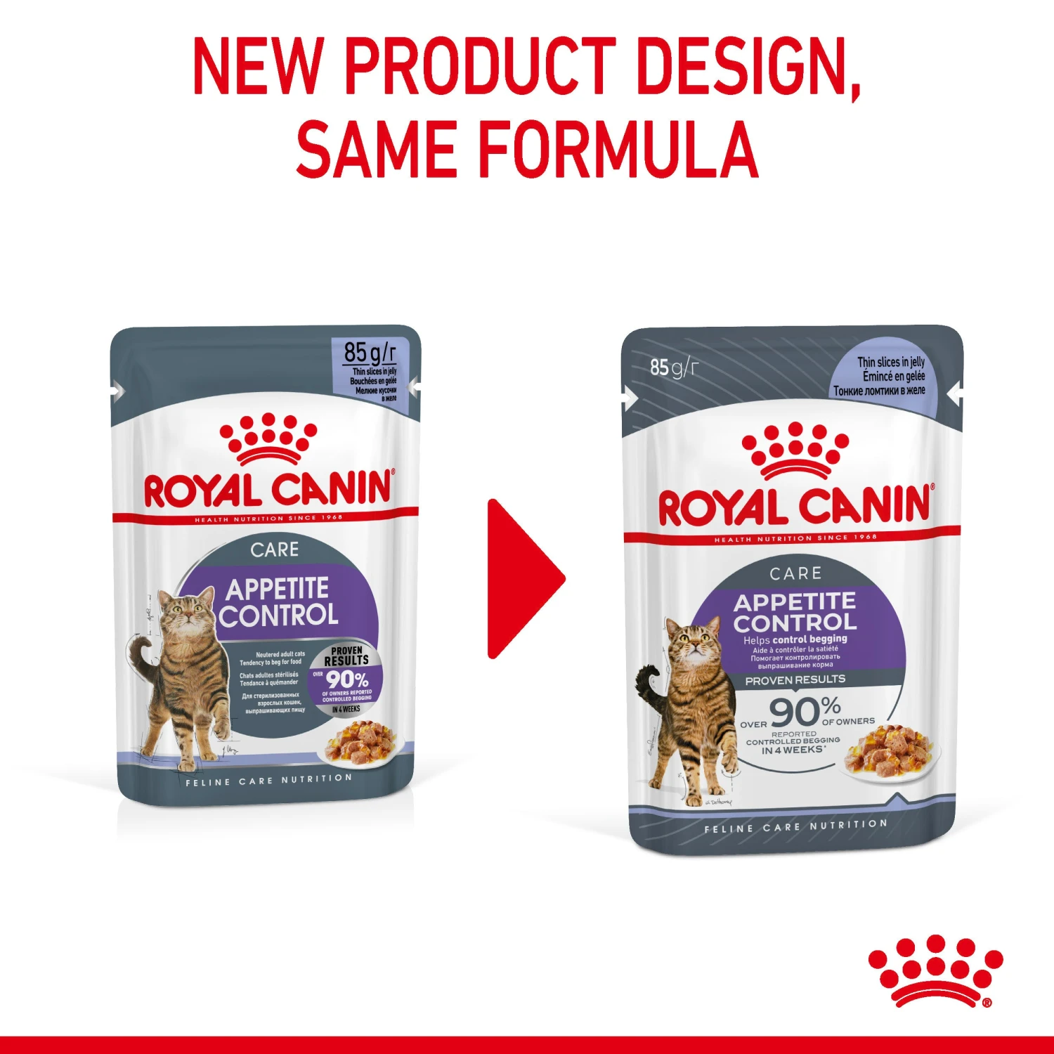 Royal Canin Appetite Control Care In Jelly Adult Wet Cat Food For Cats 12 X 85g 3 Royal Canin Appetite Control Care In Jelly Adult Wet Cat Food For Cats 12 X 85g - Image 3