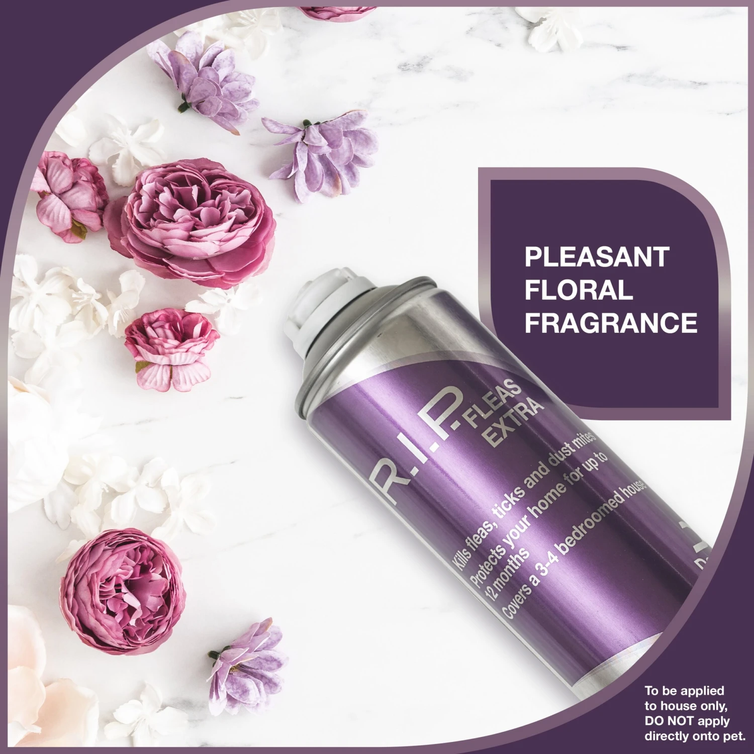 Dechra RIP Fleas Extra, Environmental Household Flea Spray 600ml 4 Dechra RIP Fleas Extra, Environmental Household Flea Spray 600ml - Image 4