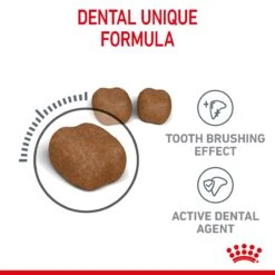 Royal Canin Dental Care Adult Dry Cat Food For Cats- Various Sizes 20 Royal Canin Dental Care Adult Dry Cat Food For Cats- Various Sizes -Pet Supply Store yoxg1ro1p1m