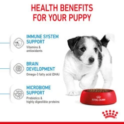 Royal Canin Nutritional Dry Dog Food For Mini Puppy - 2kg -Pet Supply Store yqwgpqvrr3i