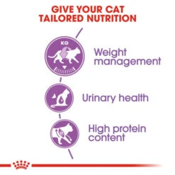 Royal Canin Regular Sterilised 37 Adult Dry Cat Food For Cats 12 Royal Canin Regular Sterilised 37 Adult Dry Cat Food For Cats -Pet Supply Store zcfuy3wj1kd
