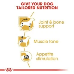 Royal Canin Wet Dog Food Specifically For Adult Dachshund 12x85g -Pet Supply Store zdkzquj5gnr