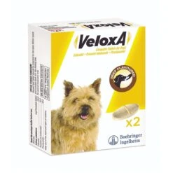 Boehringer Ingelheim Veloxa Chewable Worming Tablets For Dogs 6 Boehringer Ingelheim Veloxa Chewable Worming Tablets For Dogs -Pet Supply Store zlg1fi13xns 4d86c2d6 70d4 449b 93f9 82972ccdee4d
