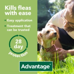 Advantage Spot On Flea Treatment -Pet Supply Store zmr12gsfnp2